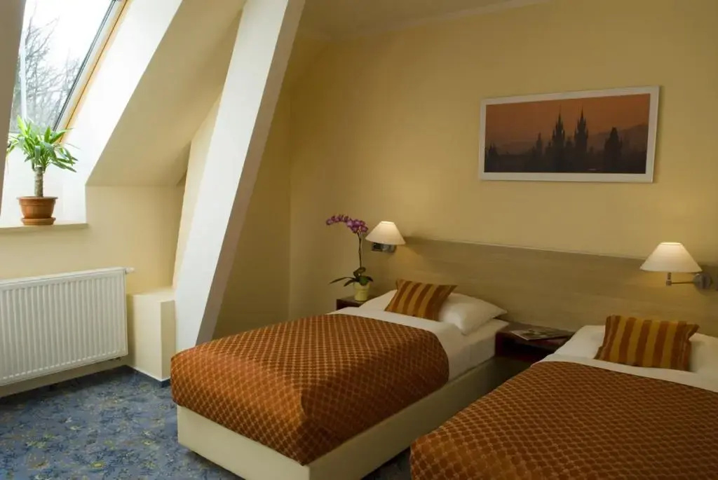 Standard Double room (full double bed)