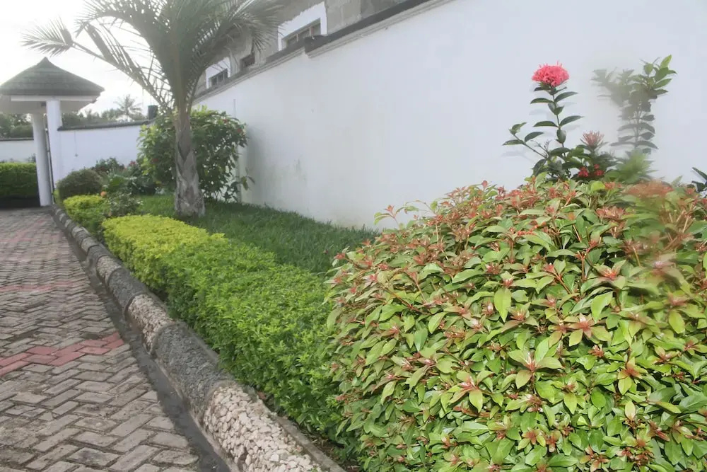 Hotel photo 39