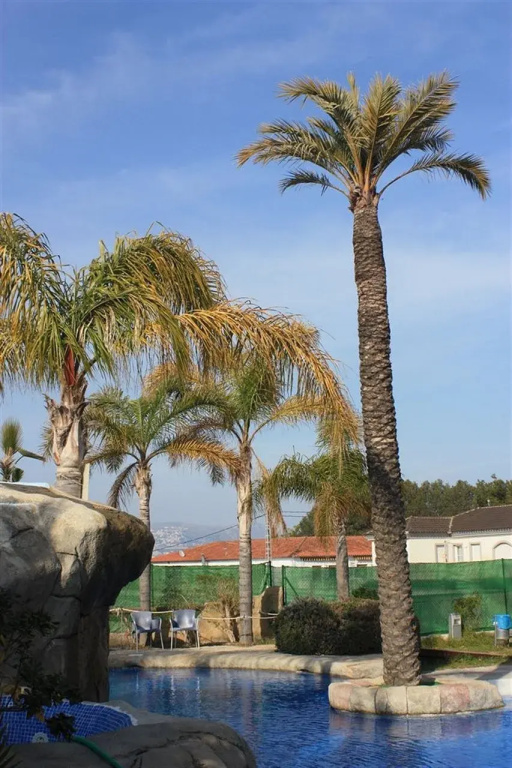 Beach & Waterfront