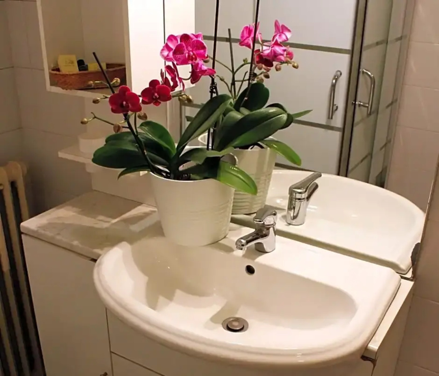 Hotel Parco Fiera - Chambres