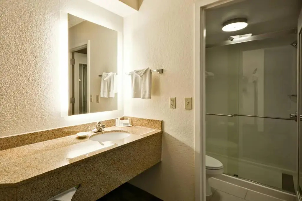SpringHill Suites by Marriott San Antonio Medical Center/NW - Chambres