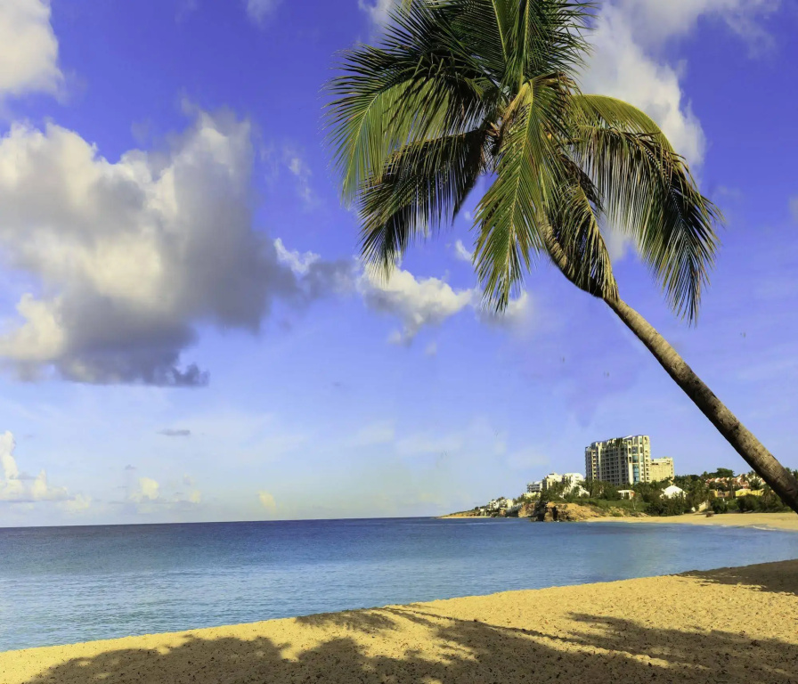 The Towers at Mullet Bay - Général