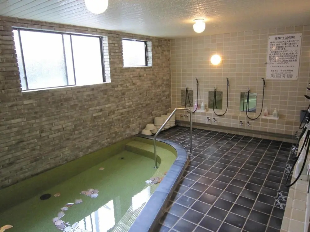 Towadako Lakeview Hotel - Général
