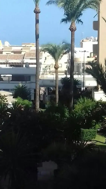 Carihuela Piscina y playa