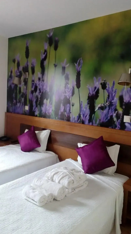 Hotel Rural Senhora De Pereiras - Chambres
