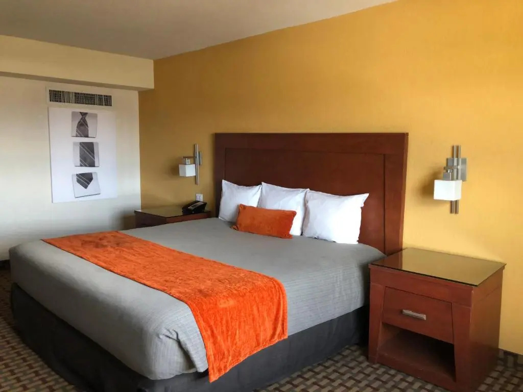 Deluxe Double room (full double bed)