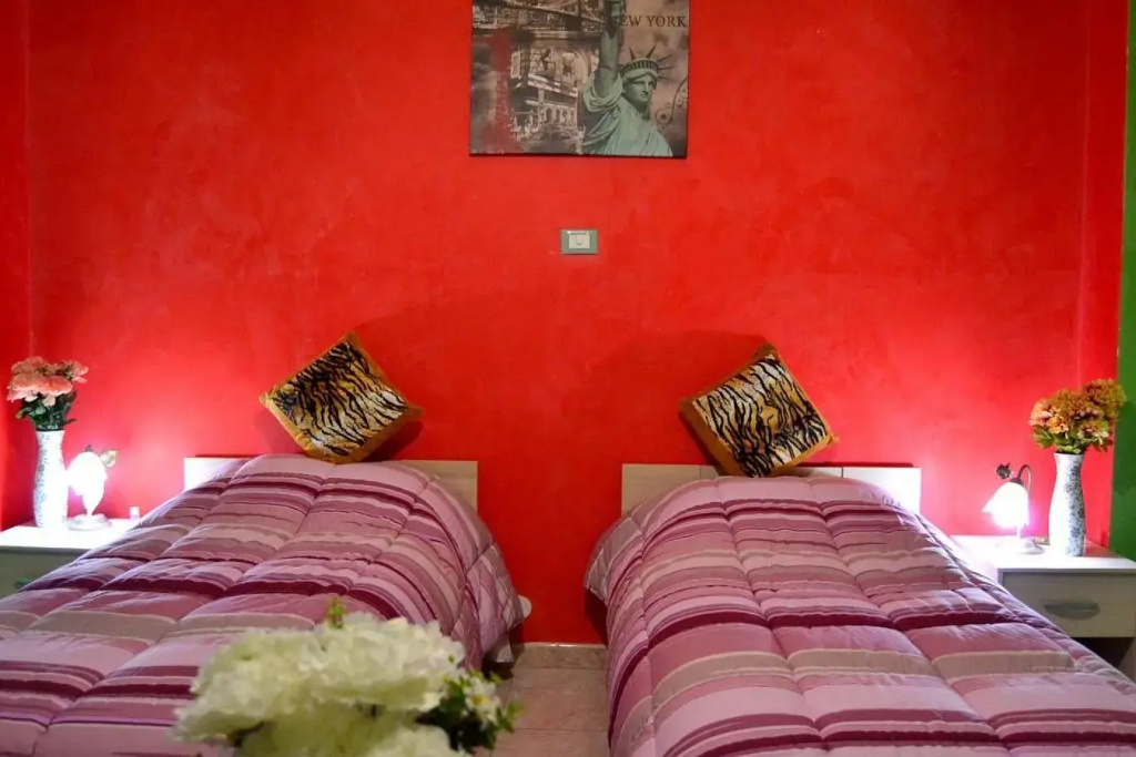 Standard Double room (twin beds)