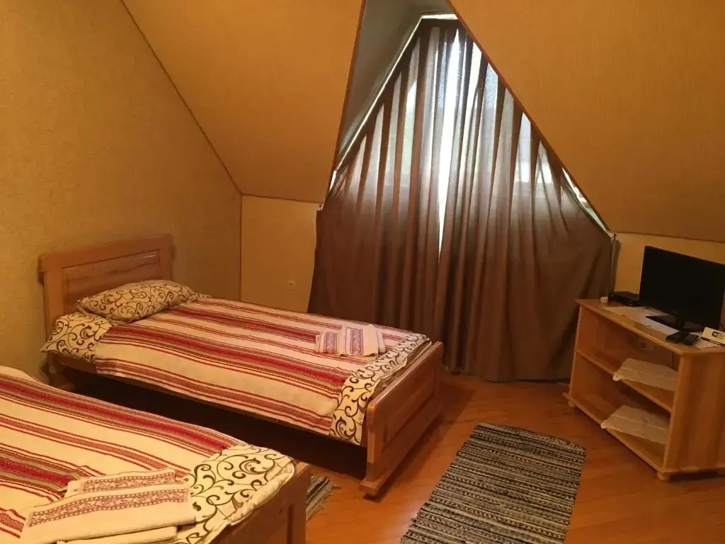 Economy Double room (twin beds)