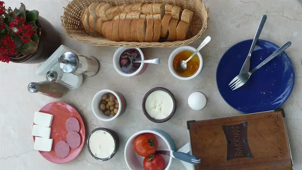 Bakkhos Guesthouse - Général