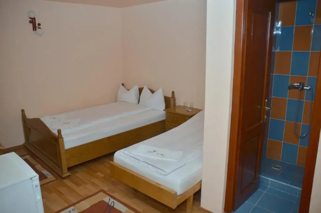 Pensiunea La Palaguta - Chambres