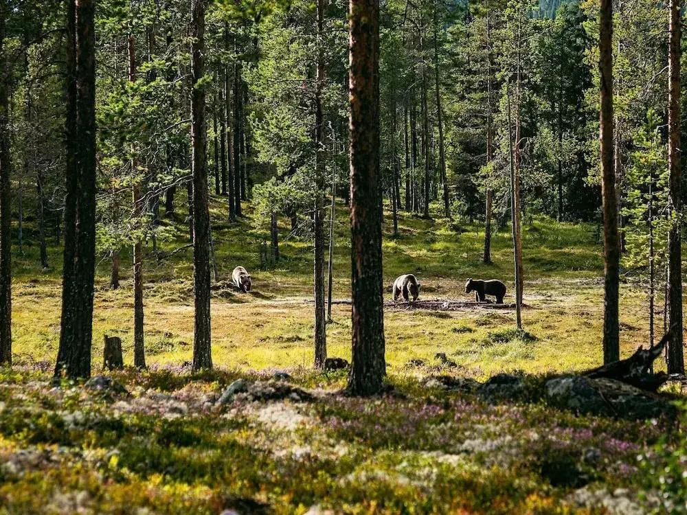 8 Person Holiday Home in Lofsdalen