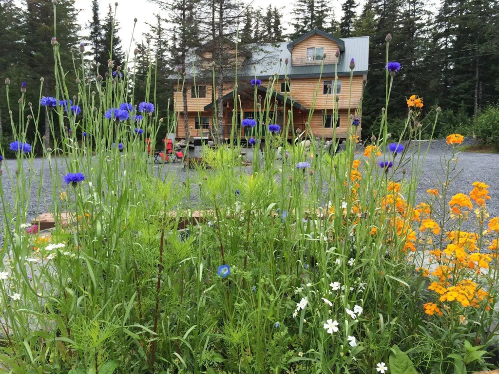 Twin Peaks Lodge and RV Park