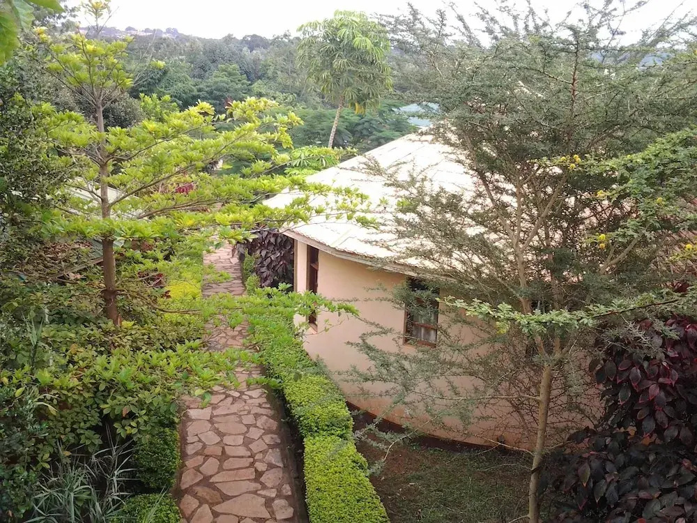 Flamingo Safari Lodge - Général