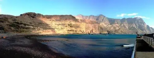 Palmeral PaMi