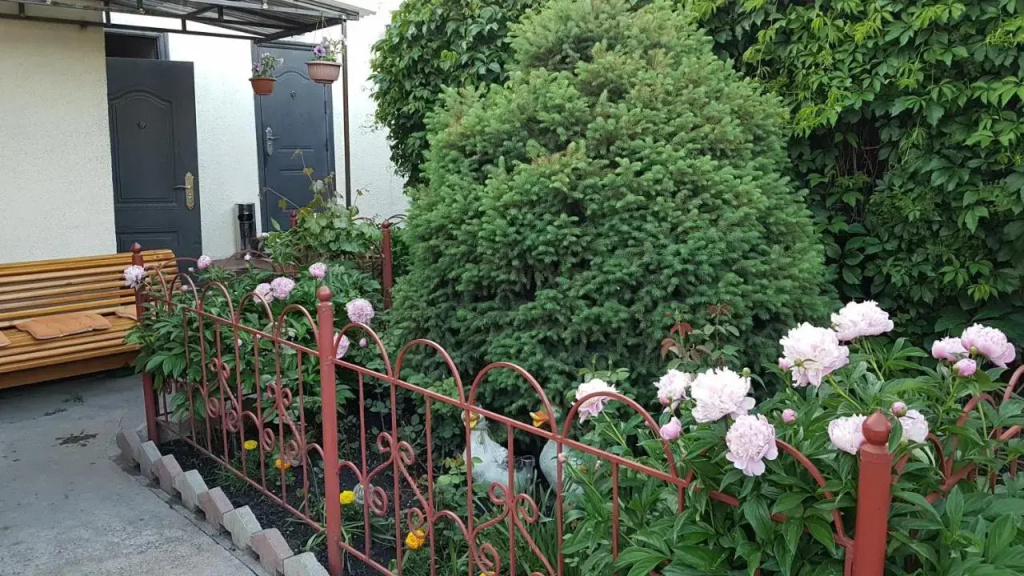 Guest House Domashniy Uyut