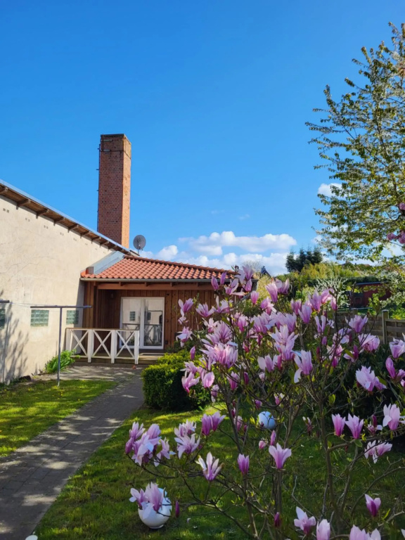 Ferienwohnung Bad Doberan - mit Garten und Terrasse