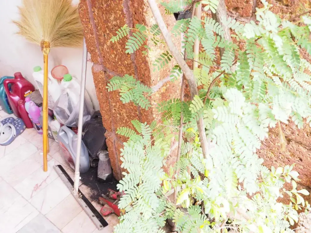 Classic room