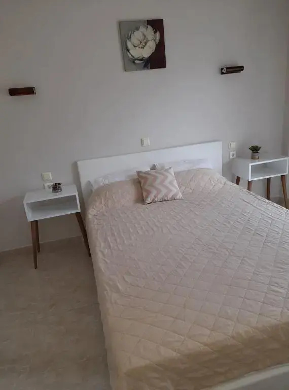 Standard Double room with mountain view (full double bed)