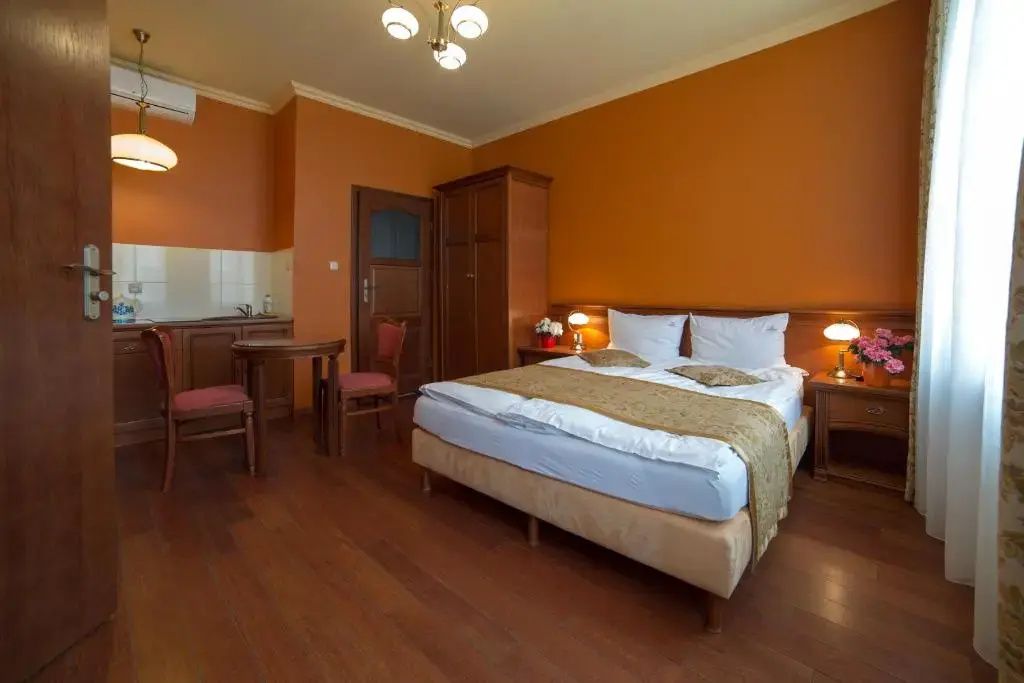 Standard Double room with city view (full double bed)