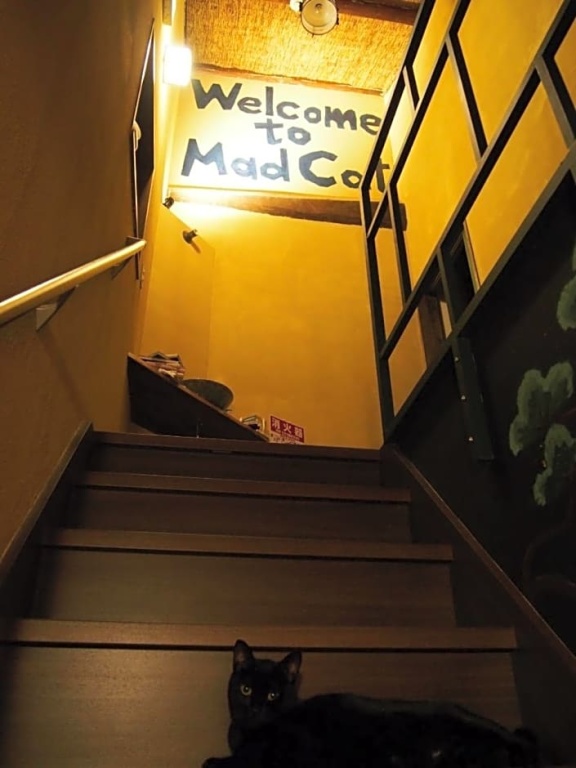 Mad Cat Hostel Osaka & Bar 사진 19