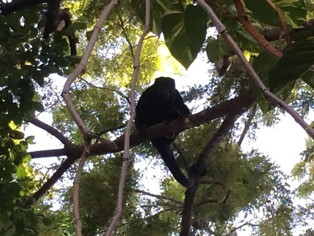 Hotel Quinta Esencia by null