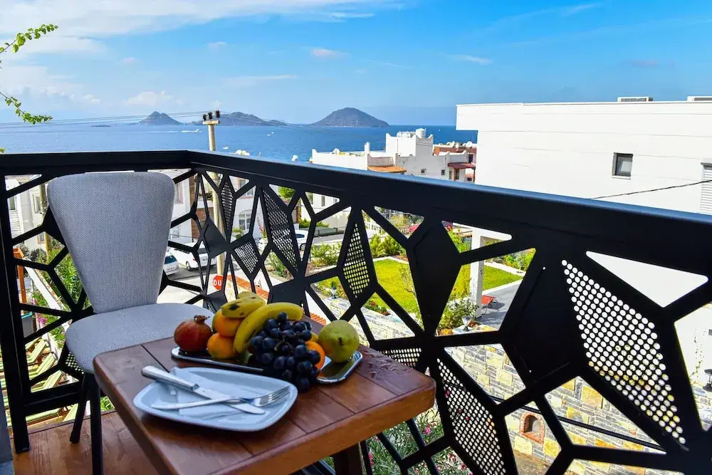 Balcony & Terrace