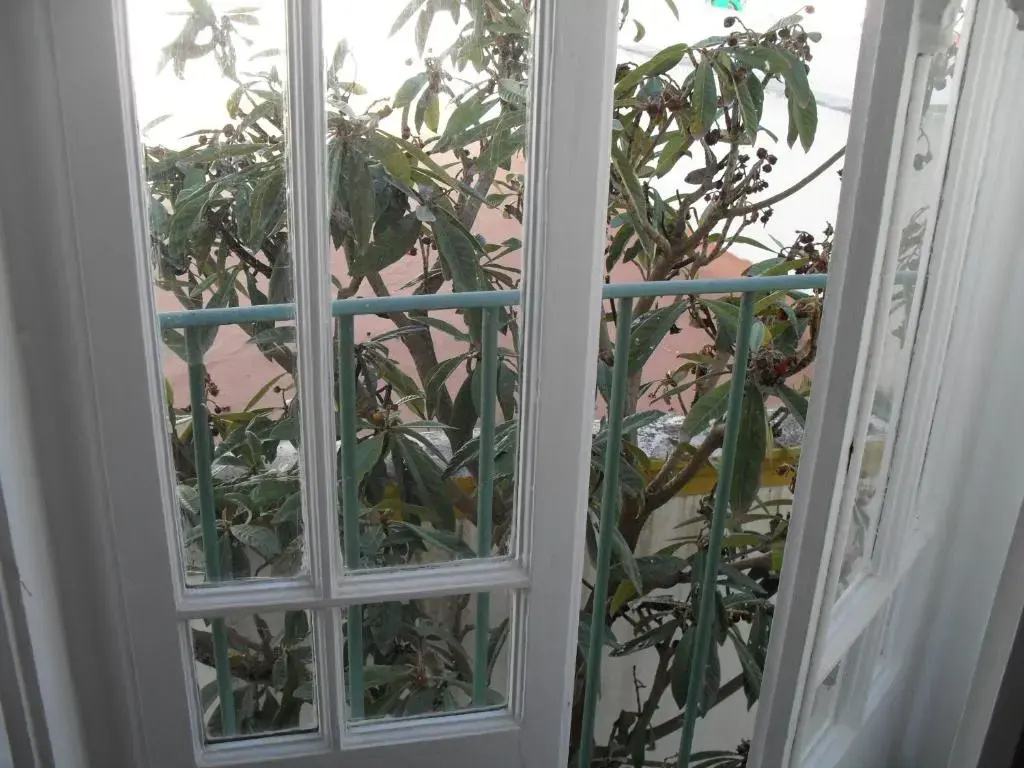 Casa Verde - Chambres