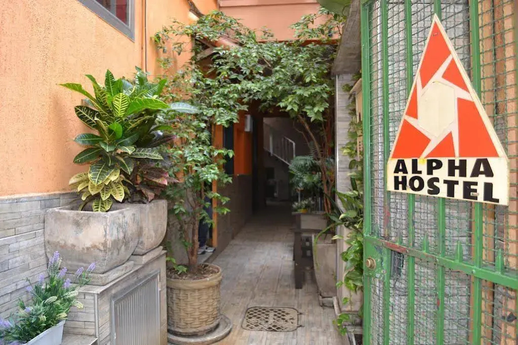 Alpha Hostel