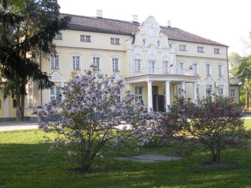 Pałac Witaszyce