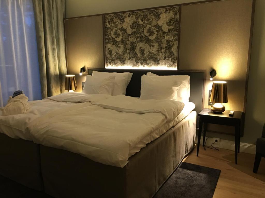 Hotel Sveitsi picture