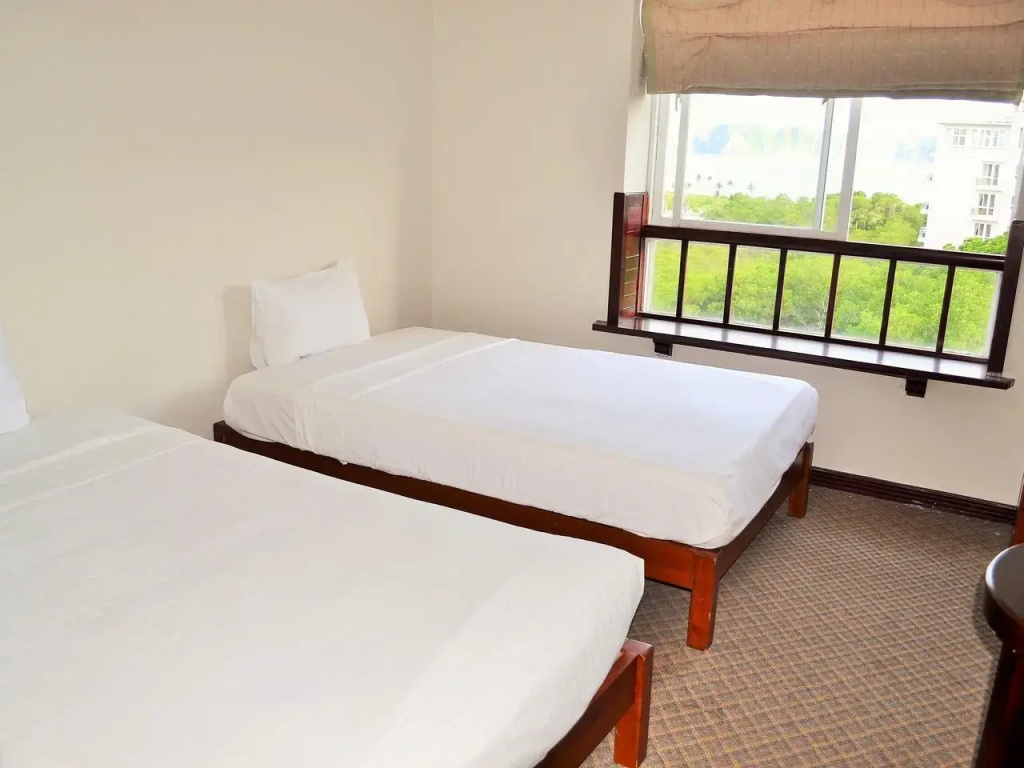 Superior Double room (twin beds)