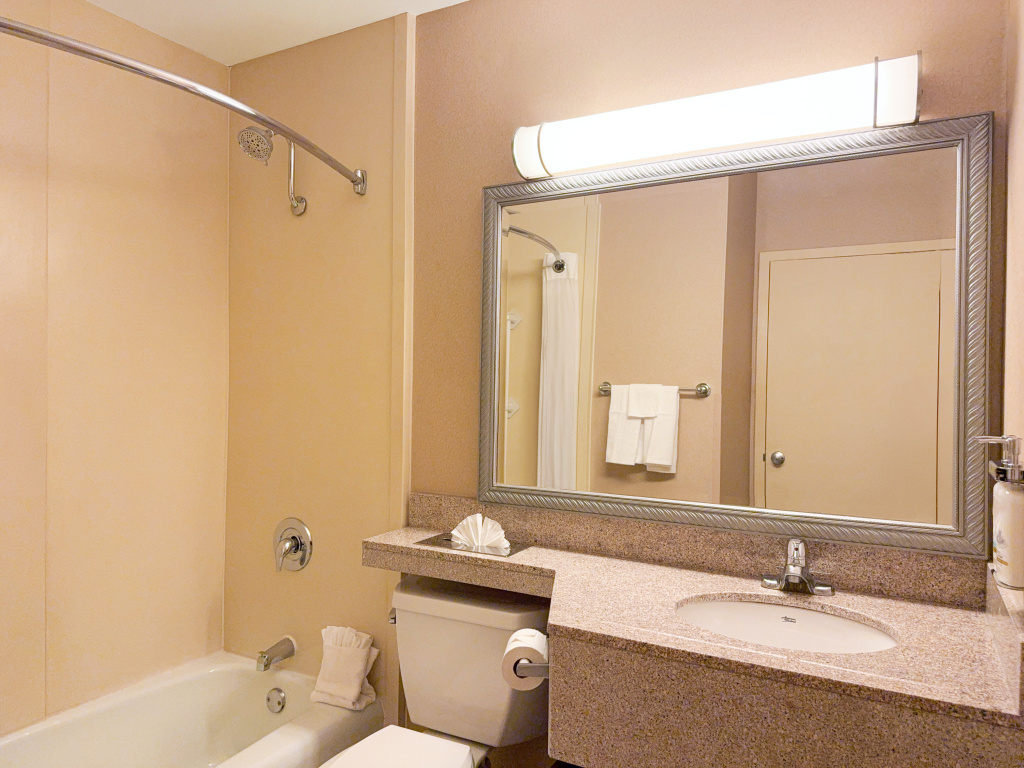 Holiday Inn South Plainfield-Piscataway by IHG - Général