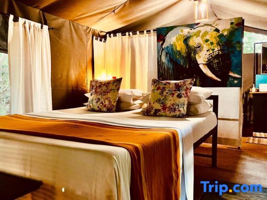 Mahoora Tented Safari Camp - Wilpattu