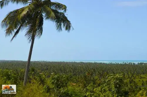 Beach & Waterfront