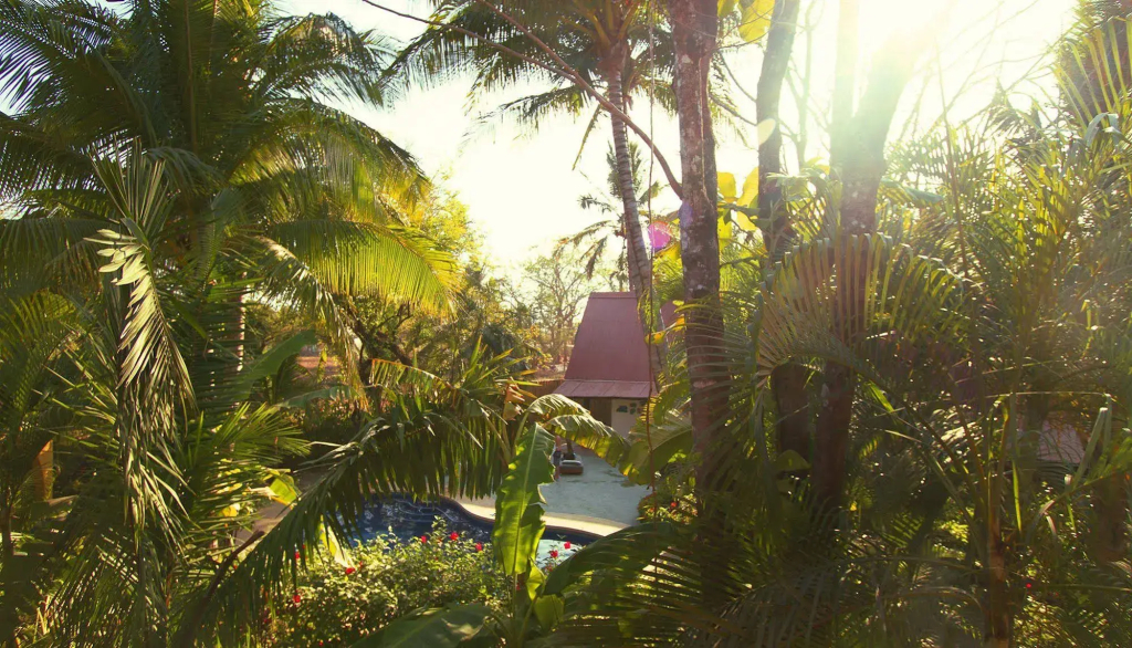 Sunset Shack Hotel - фото 29