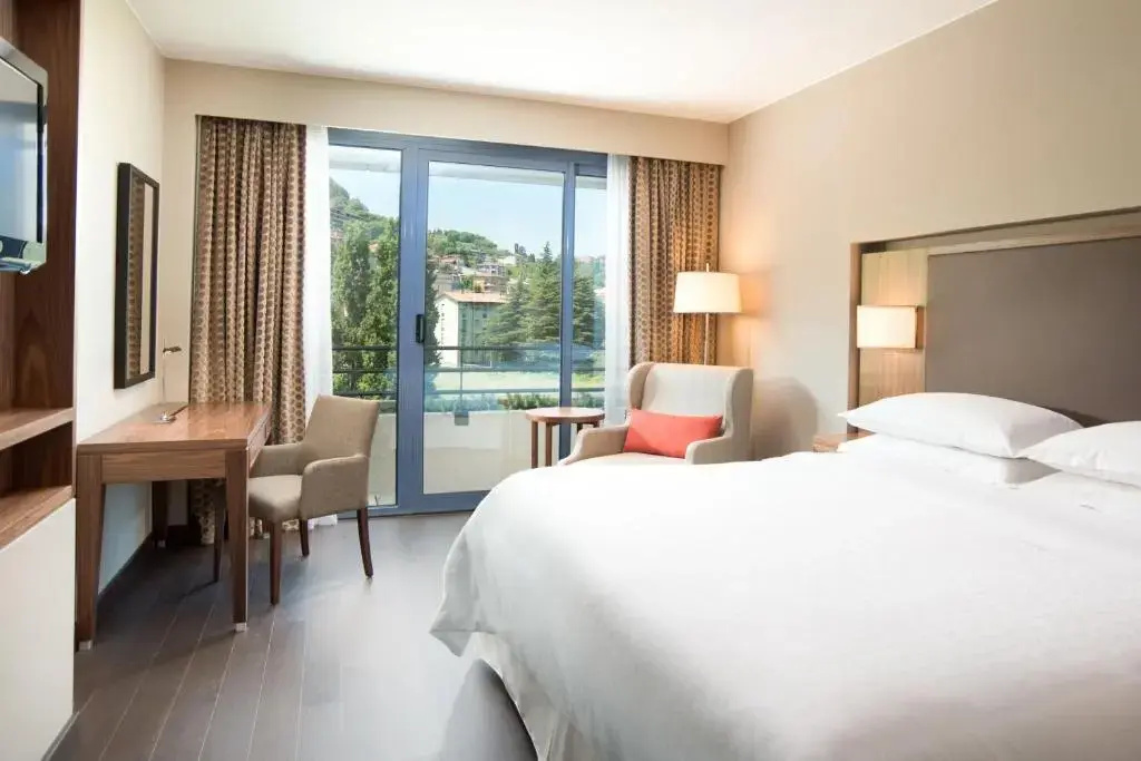 Deluxe Double room (full double bed)