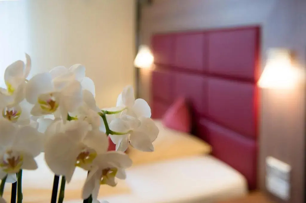 Ambient Hotel Zum Schwan - Chambres
