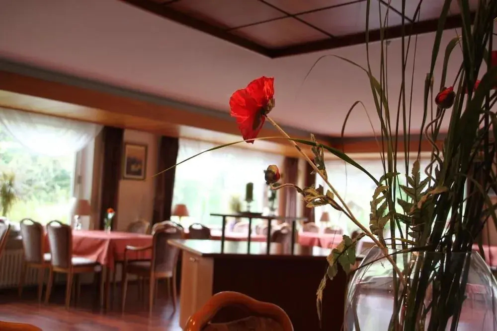 Hotel Landhaus Waldesruh - Général