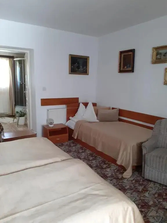 Vila Floare de Colt - Chambres