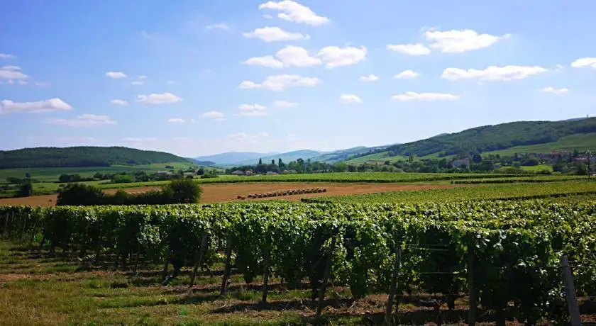 Bed and Breakfast - Le Bourg