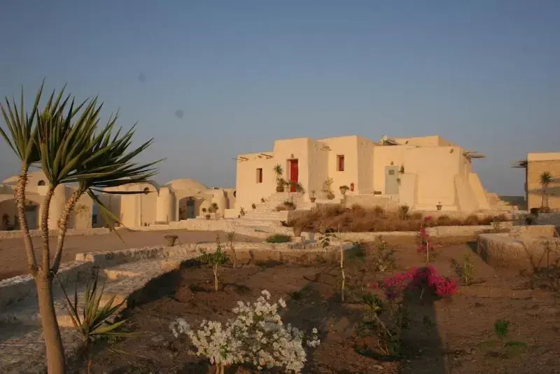 The Oasis Dive Resort - Chambres