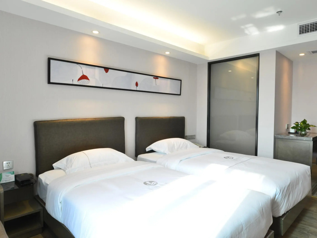Superior Double room (twin beds)