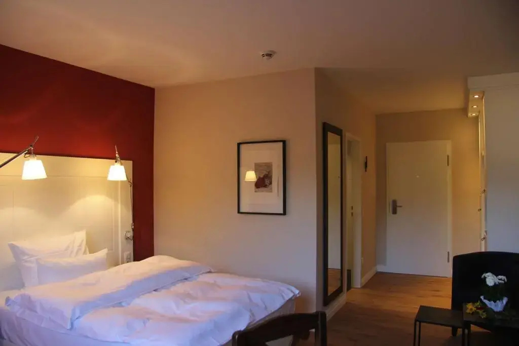 Comfort Double room (full double bed)