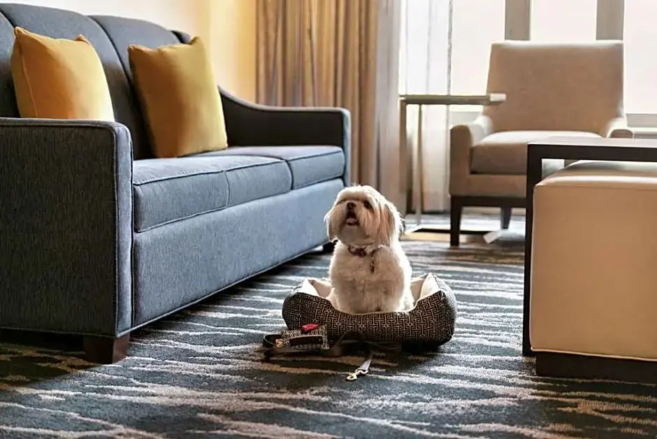 Homewood Suites by Hilton Seattle Convention Center Pike Street - Chambres