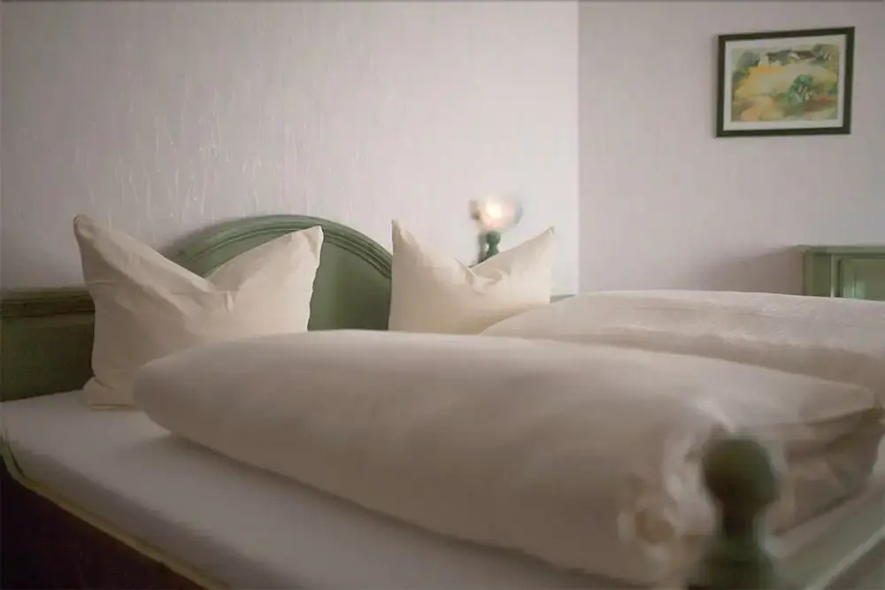 Gartenhotel Hunsrücker Fass - Général