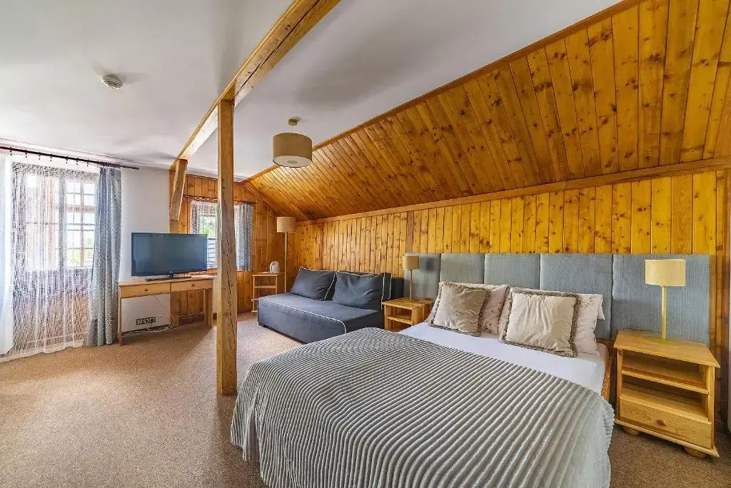 Standard Quadruple room with mountain view
