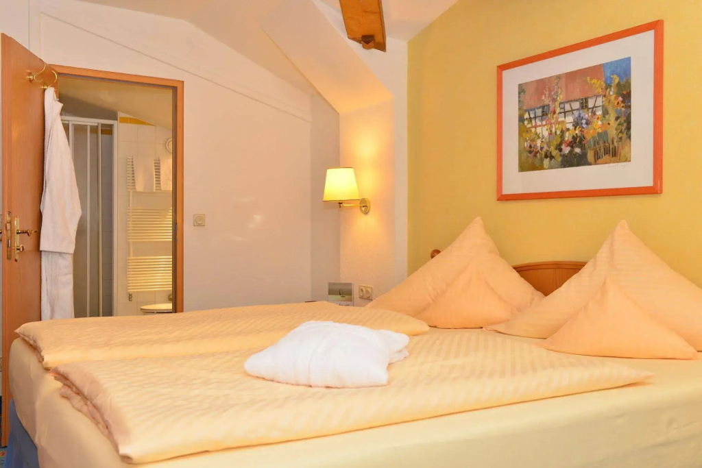 IFA Alpenrose Hotel Kleinwalsertal - Général