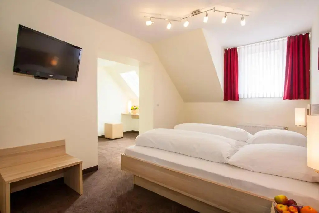 Standard Double room (full double bed)