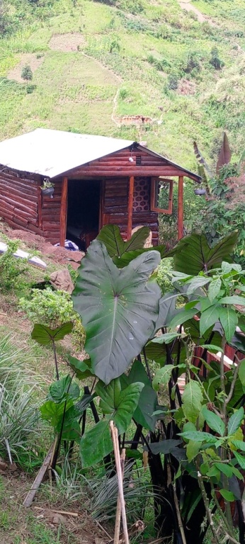 Karangura trekkers eco camp