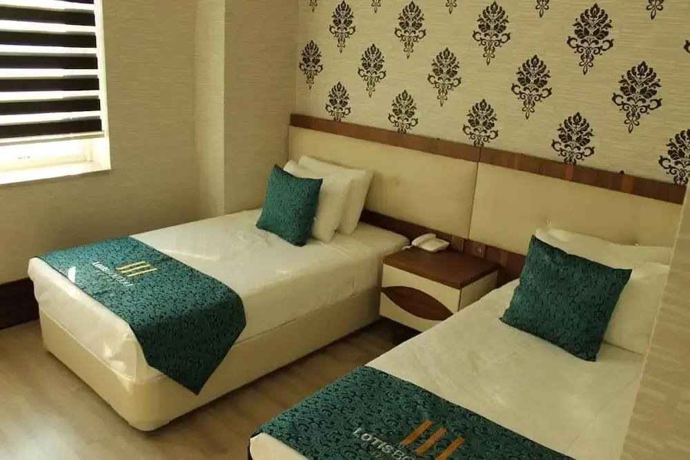 Lotis Hotel — 2